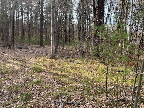 Lot 8 Lee Rd - Photo 1