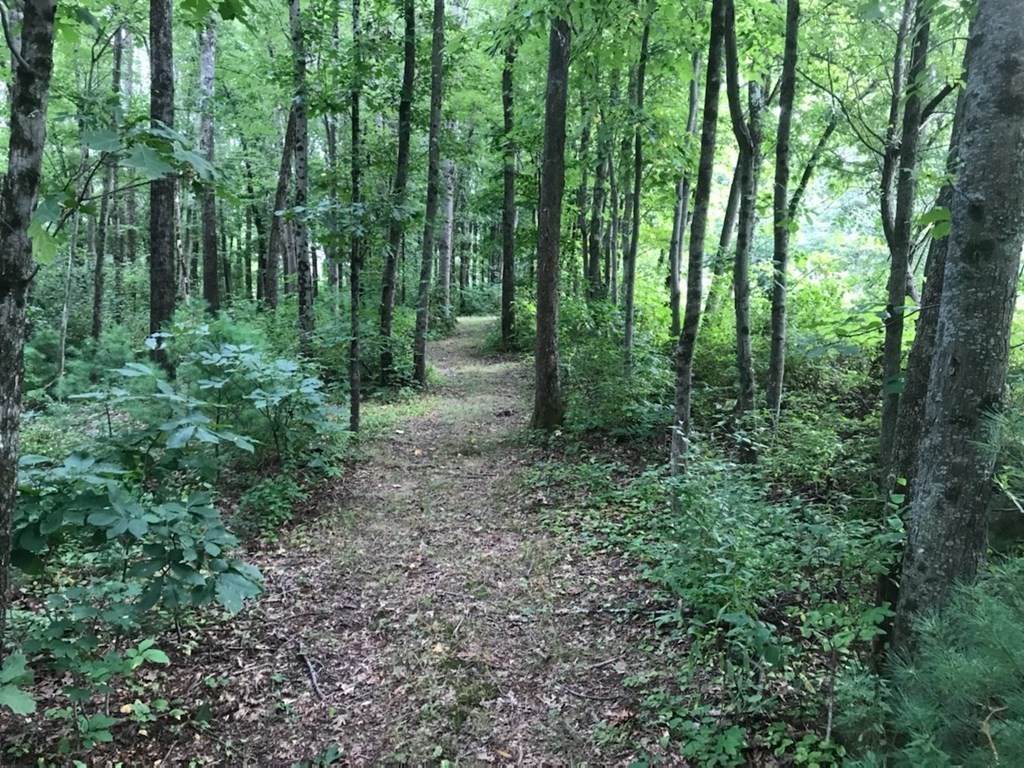 lot A Old Gilbertville Road - Photo 1