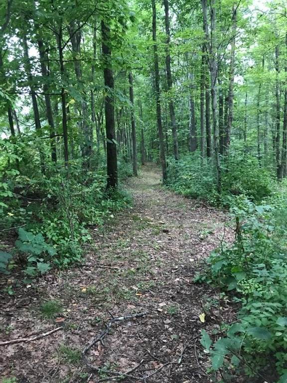 Lot B Old Gilbertville - Photo 1
