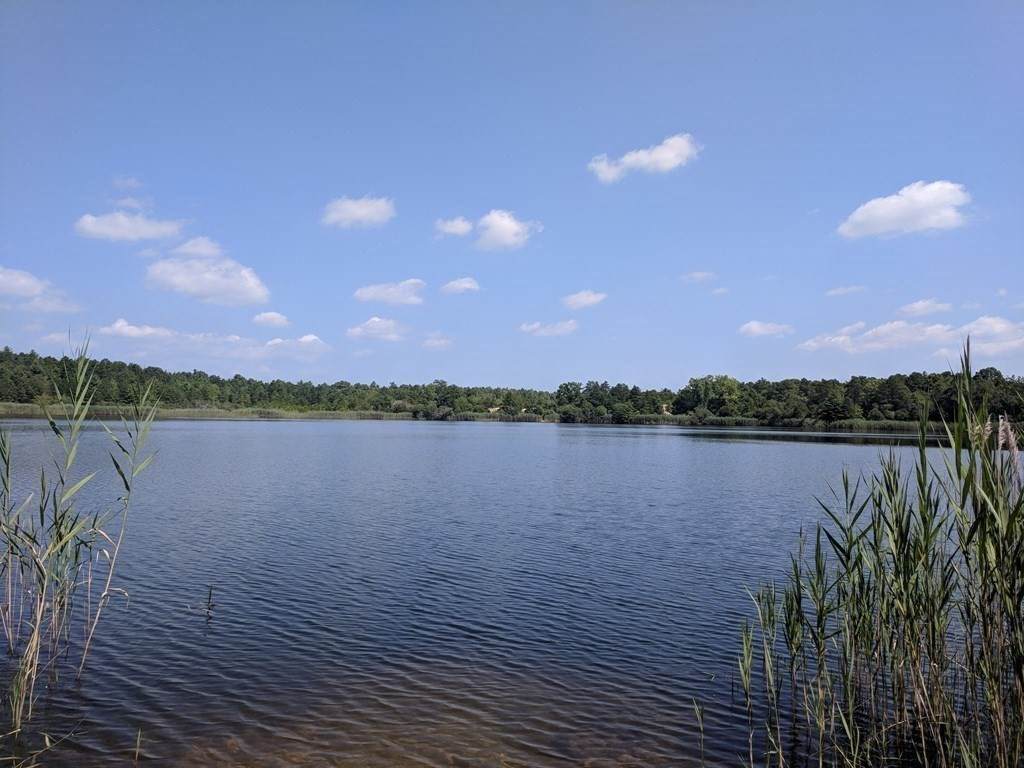 0 County Rd - Photo 1