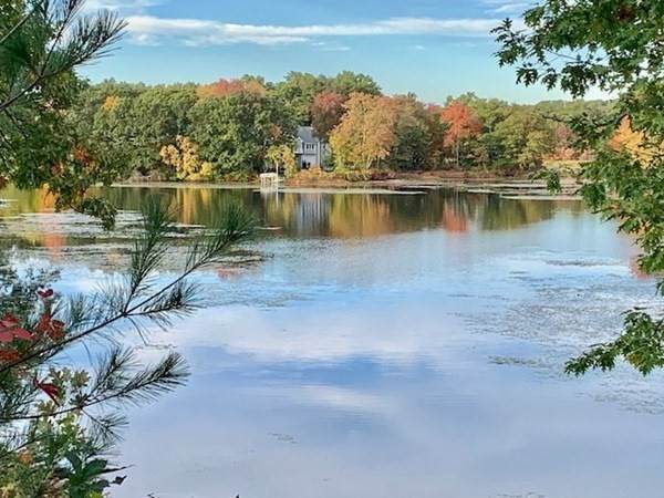 56 Lakeside Dr - Photo 1