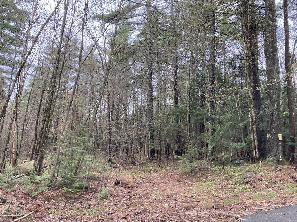 Lot 2 Fay Rd - Photo 1