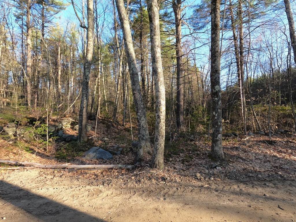 Lot 0 Templeton - Photo 1