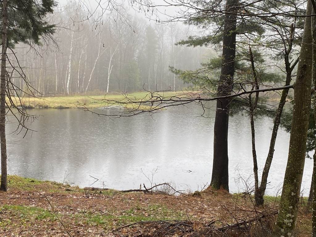 50 Papoose Lake Dr - Photo 1