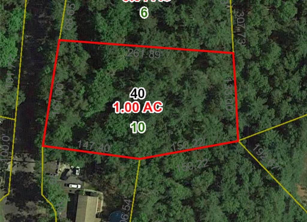 10 Birch Hill Road - Photo 1