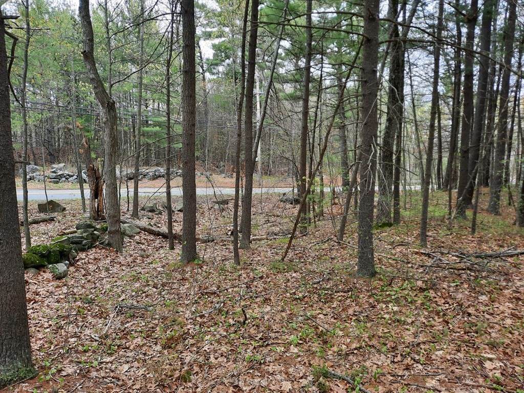 833 Broadway Rd - Photo 1