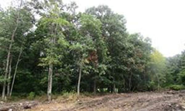 Lot 1 Diamond Estates - Photo 1