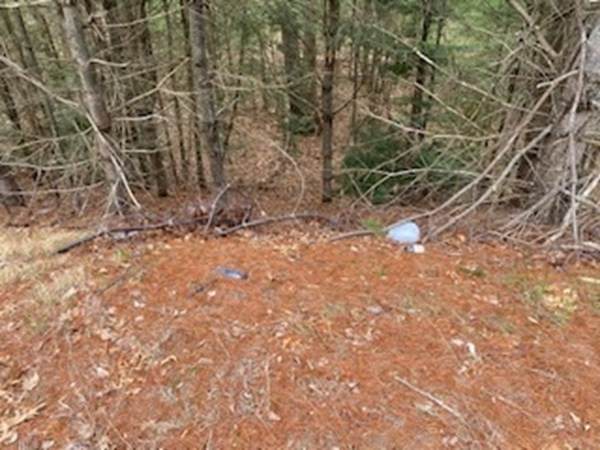 Lot 5 Brook Rd - Photo 1