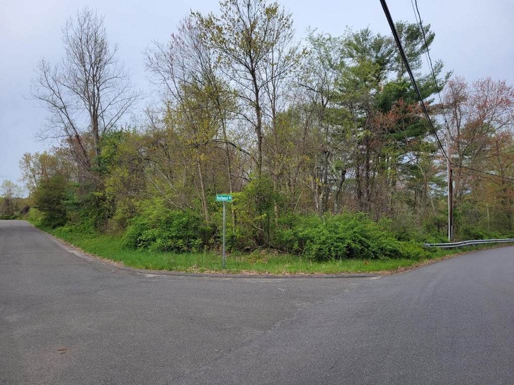 Lot 59 Knollwood Rd - Photo 1