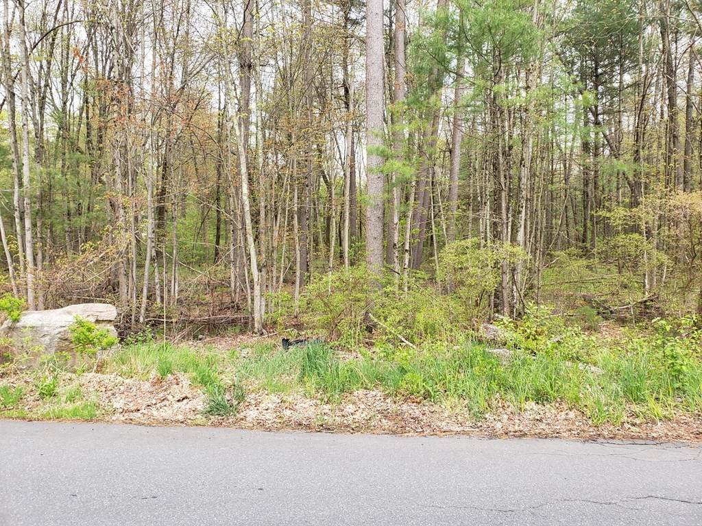 Lot 15 Fletcher - Photo 1