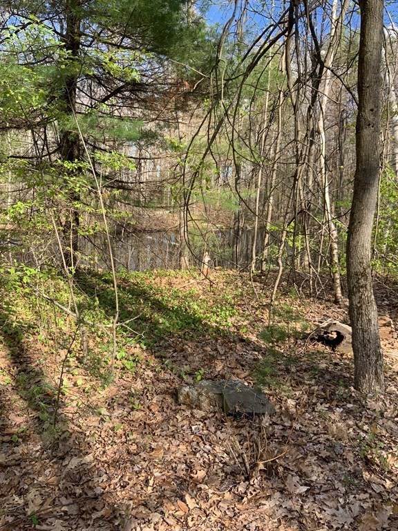 102 Knower Rd - Photo 1