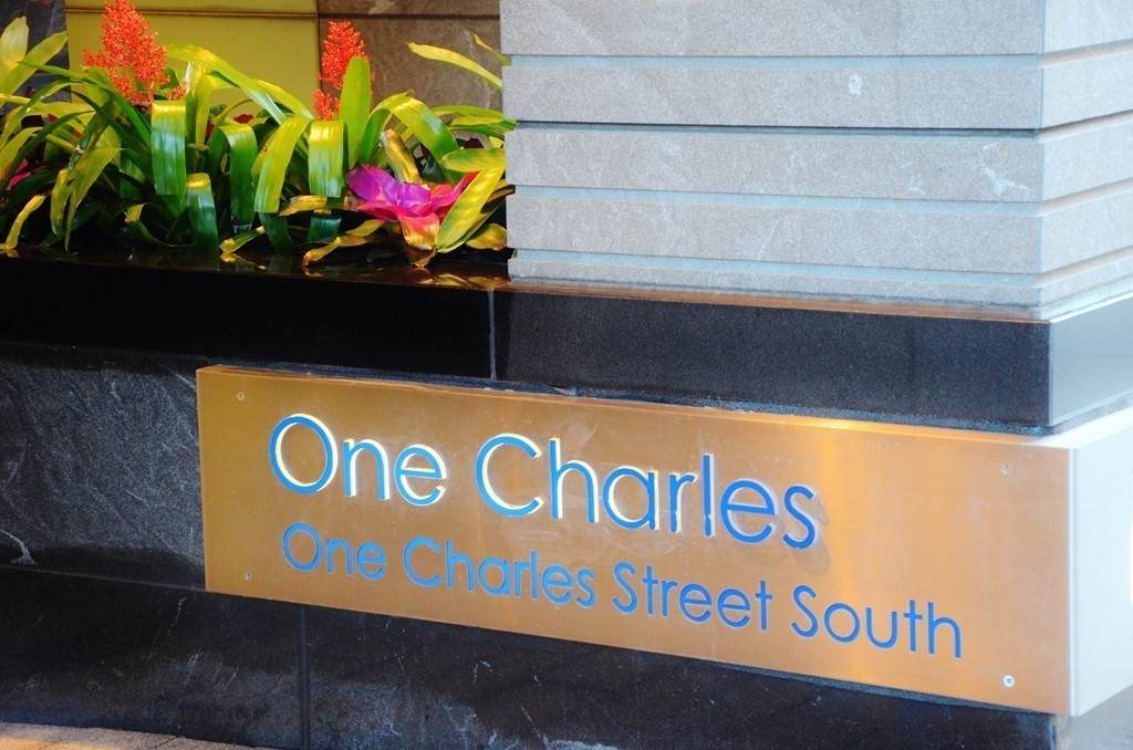 1 Charles - Photo 1