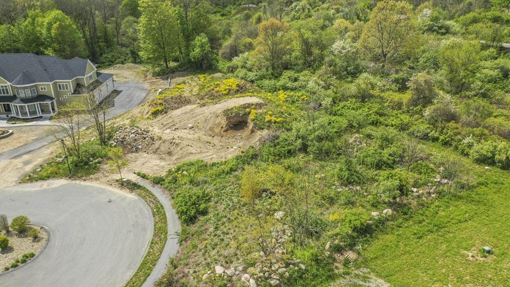 19 Bridle Spur Lane - Photo 1