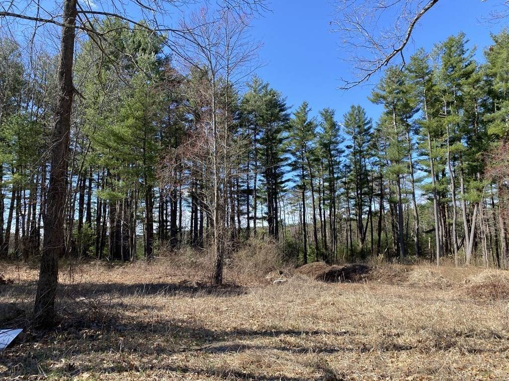 Lot 5 Ariana Lane - Photo 1