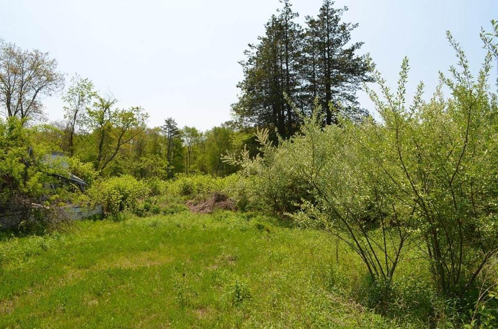 440 Boston Road West - Photo 1