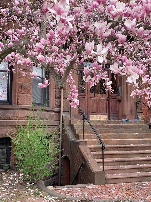 343 Commonwealth Ave. - Photo 1