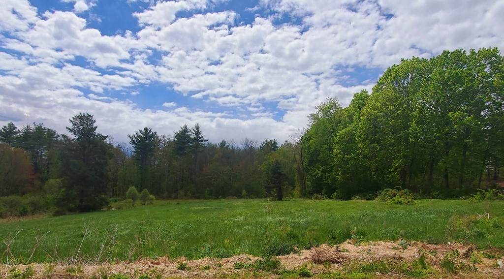 2 Scotch Pine Farm Way - Photo 1