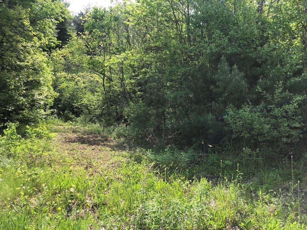 1A Brimfield Road (Route 20) - Photo 1