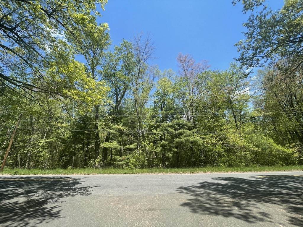 Lot B Tinkham Rd. - Photo 1