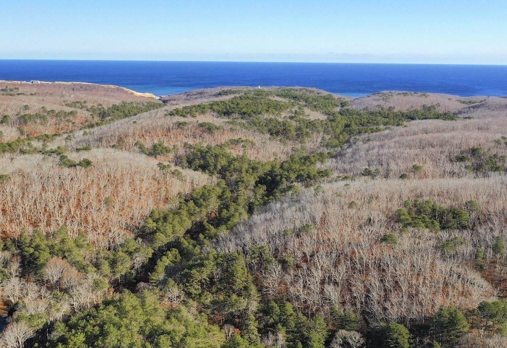 35A - 0 Higgins Hollow Road - Photo 1