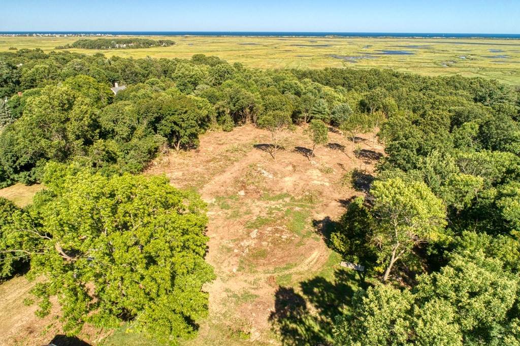 Lot 2 Gadsden Lane - Photo 1
