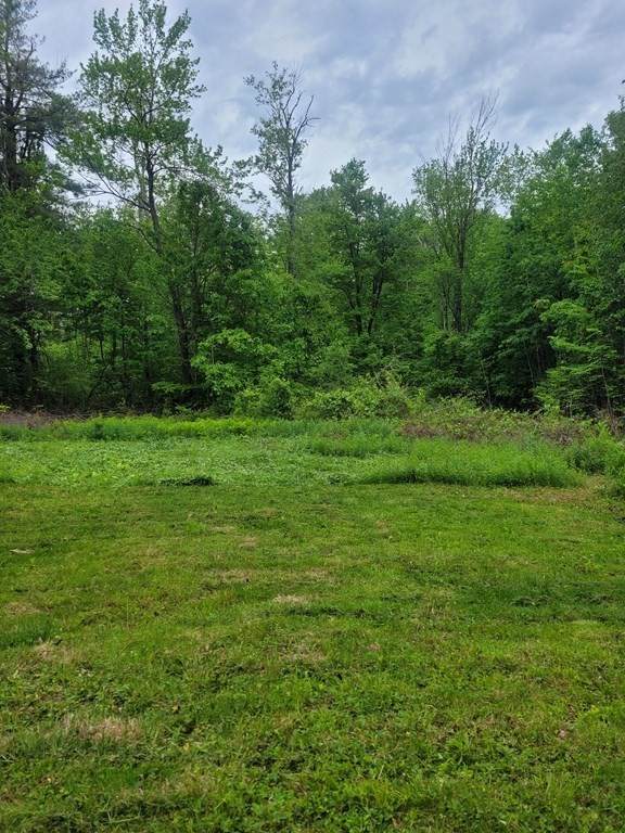 276 Crest Lane - Photo 1