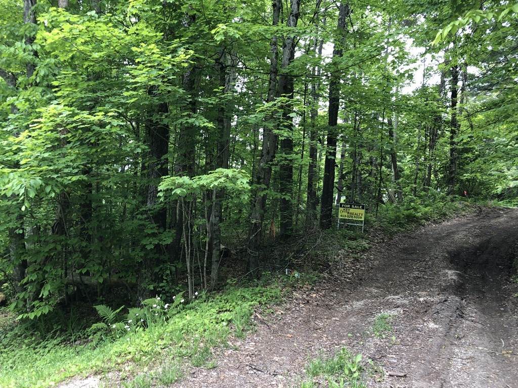 0 Access Rd 3 & Sawdust - Photo 1