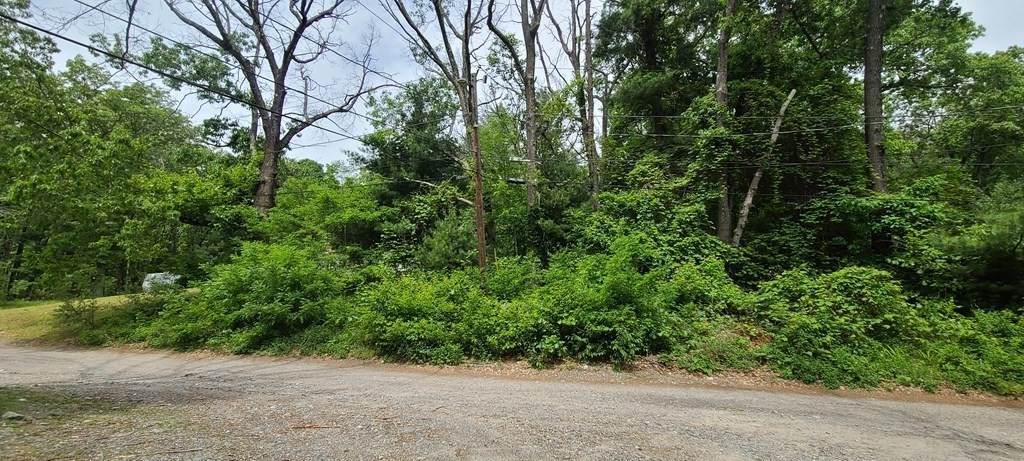 88 Swan Ave - Photo 1