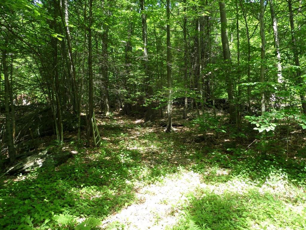 0 Smith Rd - Photo 1