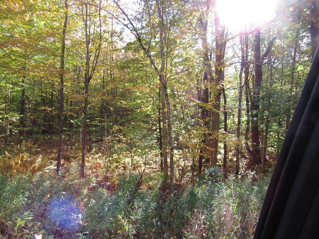 033 Bug Hill - Photo 1