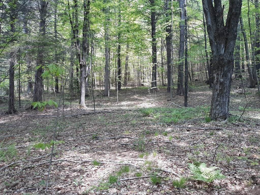 Lot 189 Amherst Rd - Photo 1