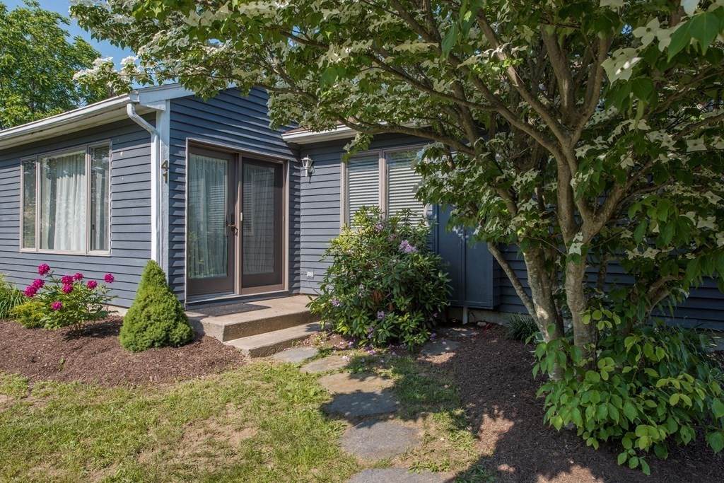41 Tamarack Dr - Photo 1