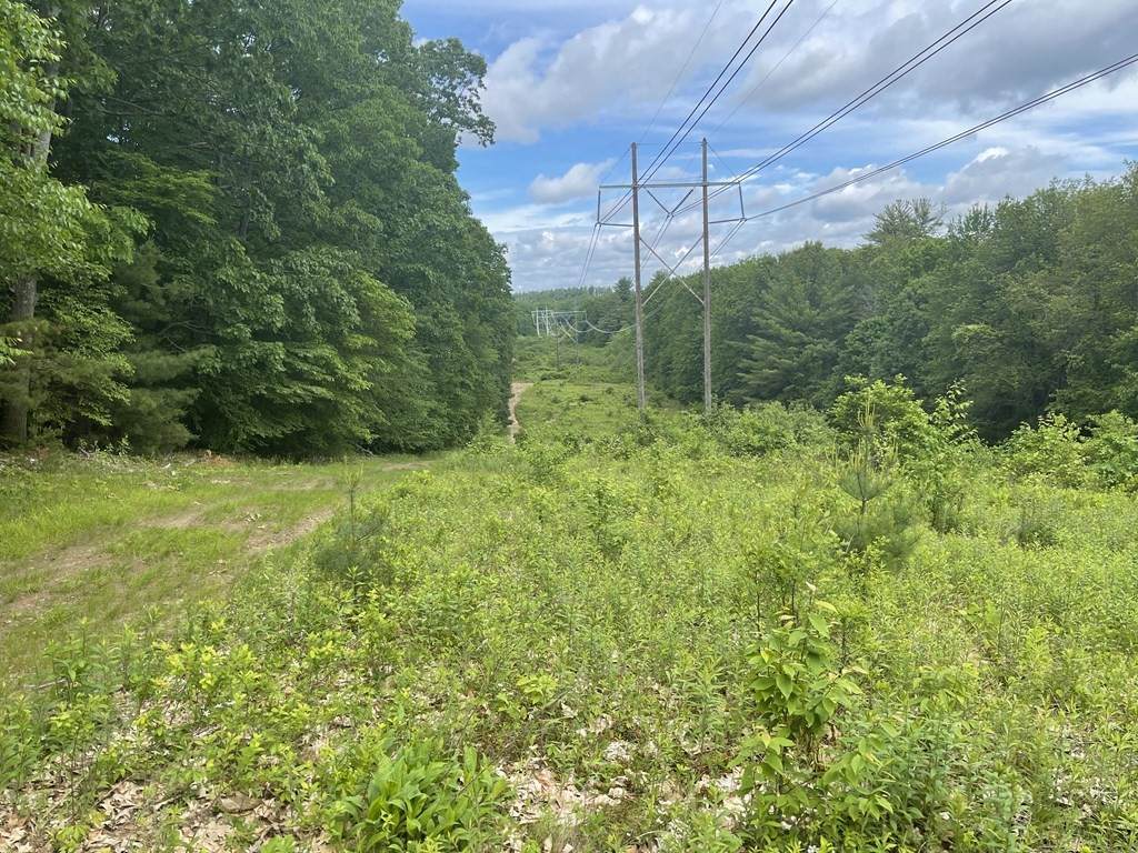 131-A Haverhill Rd - Photo 1