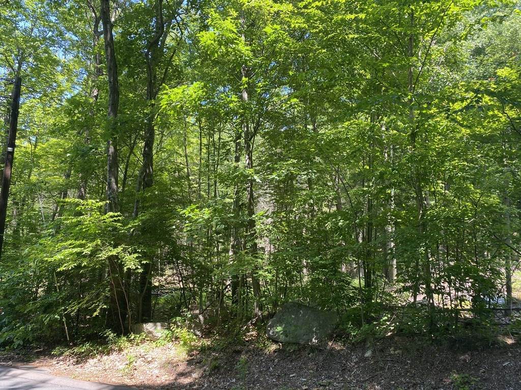 Lot 59 Summit St - Photo 1