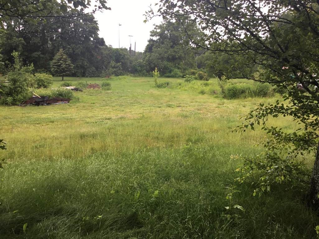 106 Hildreth Street-Lot 2 - Photo 1