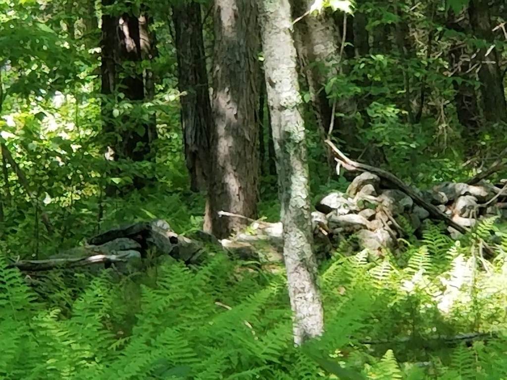 0 Sheldon Rd - Photo 1