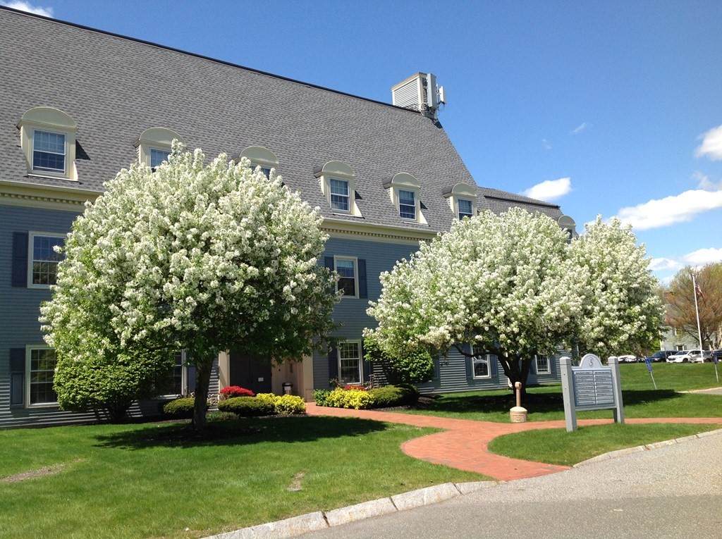 5 Essex - Photo 1