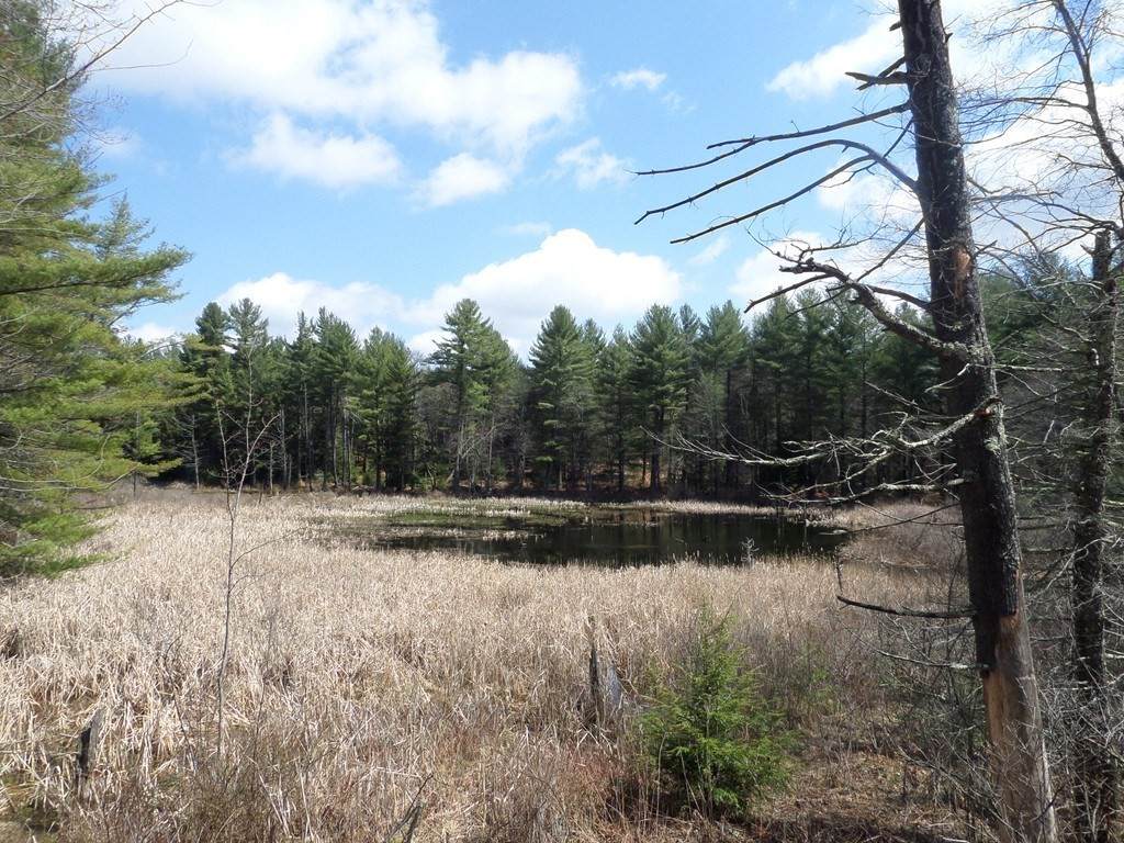 lot 25 Huntington Rd - Photo 1