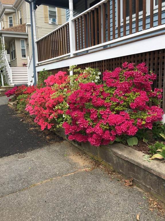 27 Pierce Ave - Photo 1