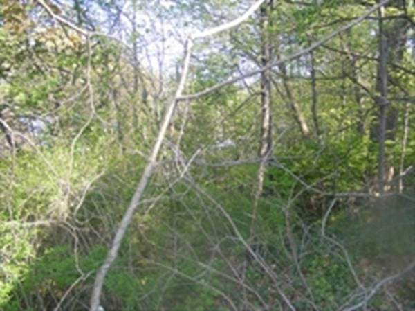 10 Gordon Rd - Photo 1