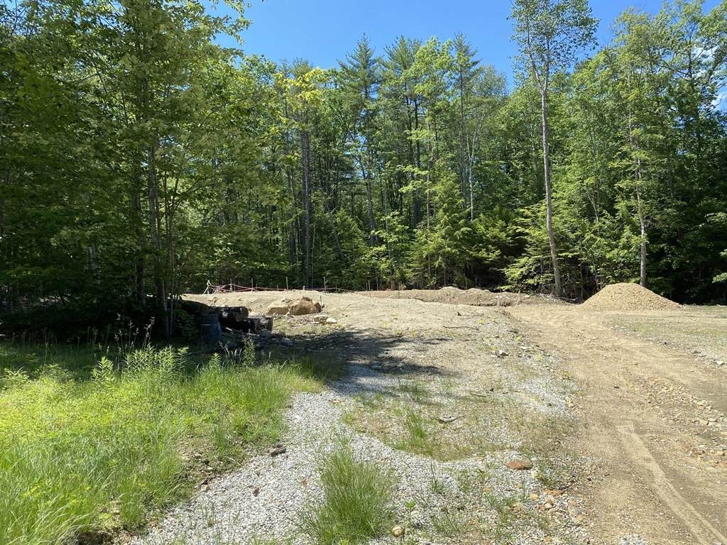 Lot 368 Holly Lane - Photo 1