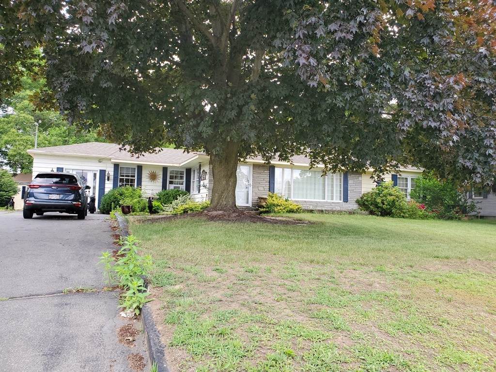 204 Elm St - Photo 1