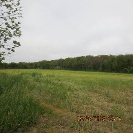 978 Sodom Rd - Photo 1