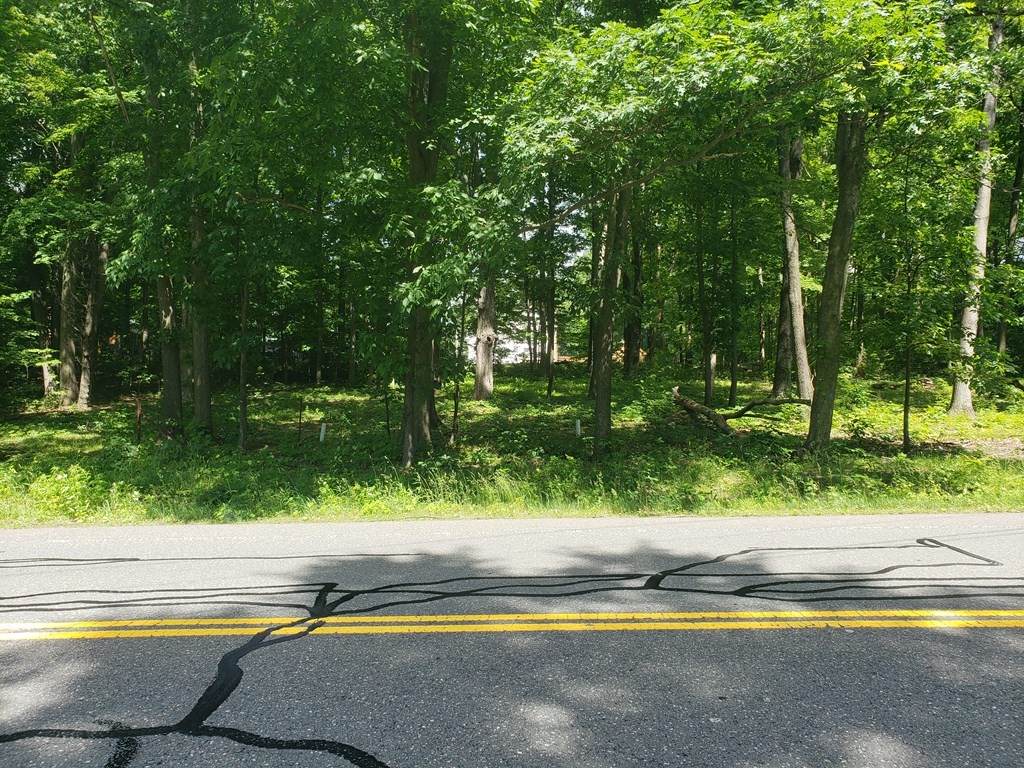 Lot 18A West Street - Photo 1