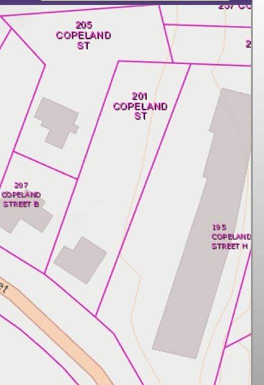 201 Copeland Street - Photo 1