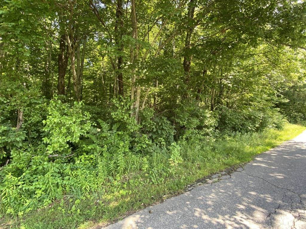 0 Washington Rd - Photo 1