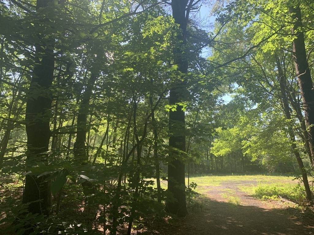 143 Turkey Hill Rd - Photo 1