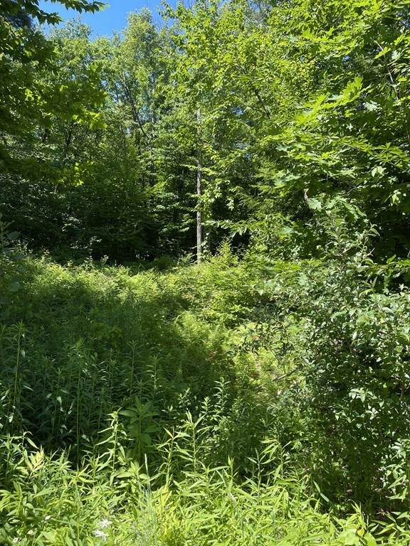 0 Bonnie Rigg Hill Rd - Photo 1