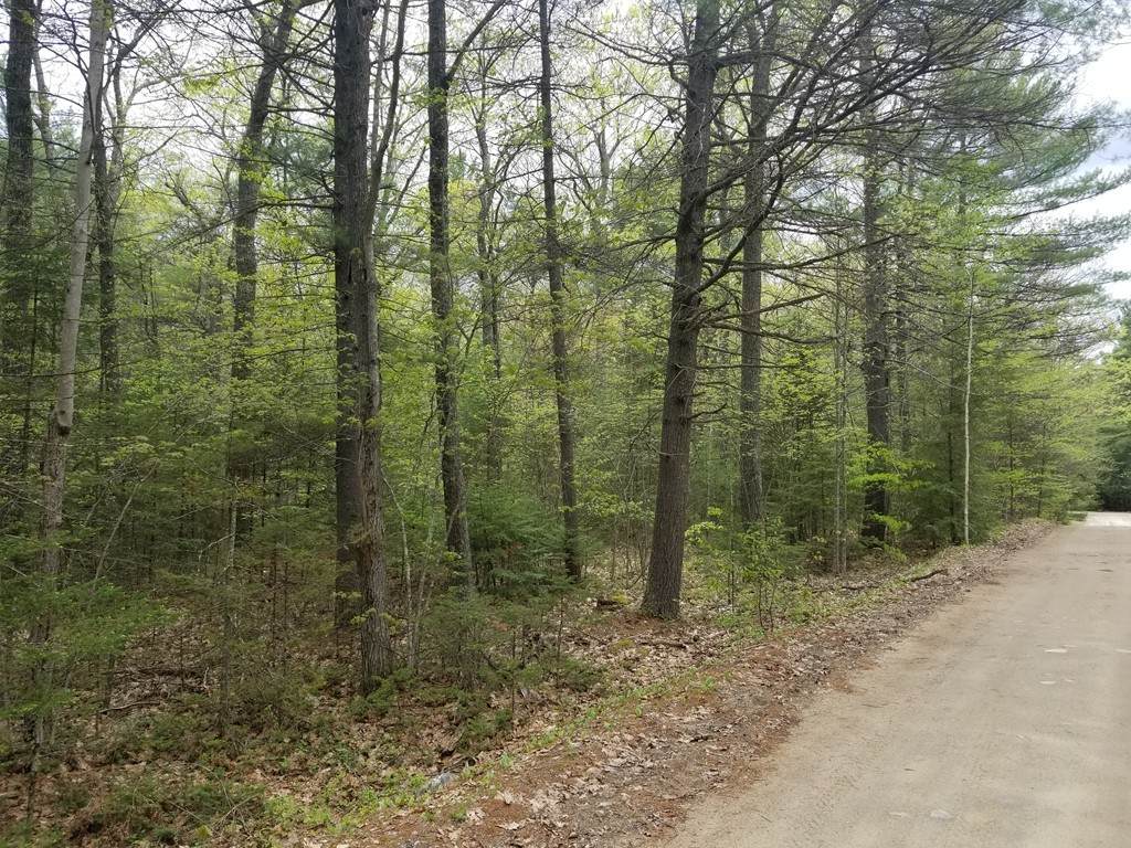 20 Pearl Rd - Photo 1