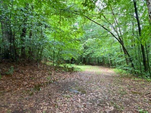 69 & 39 Shawnee Dr - Photo 1
